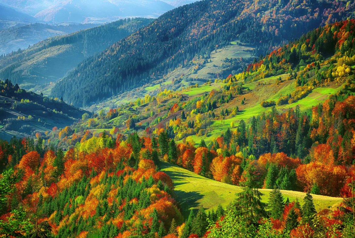Equestrian Land